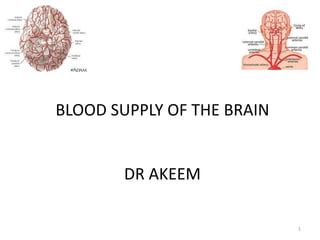 BLOOD SUPPLY OF THE BRAIN
DR AKEEM
1
 