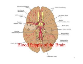 Blood Supply of the Brain
1
 