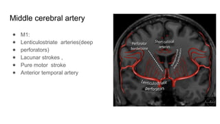 Blood Supply of the Brain and Meninges final (1).pptx
