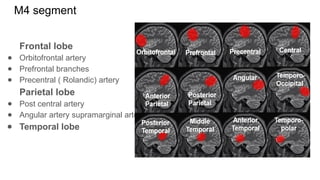Blood Supply of the Brain and Meninges final (1).pptx