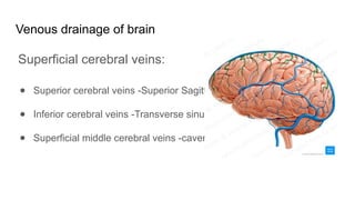 Blood Supply of the Brain and Meninges final (1).pptx