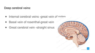 Blood Supply of the Brain and Meninges final (1).pptx
