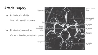 Blood Supply of the Brain and Meninges final (1).pptx