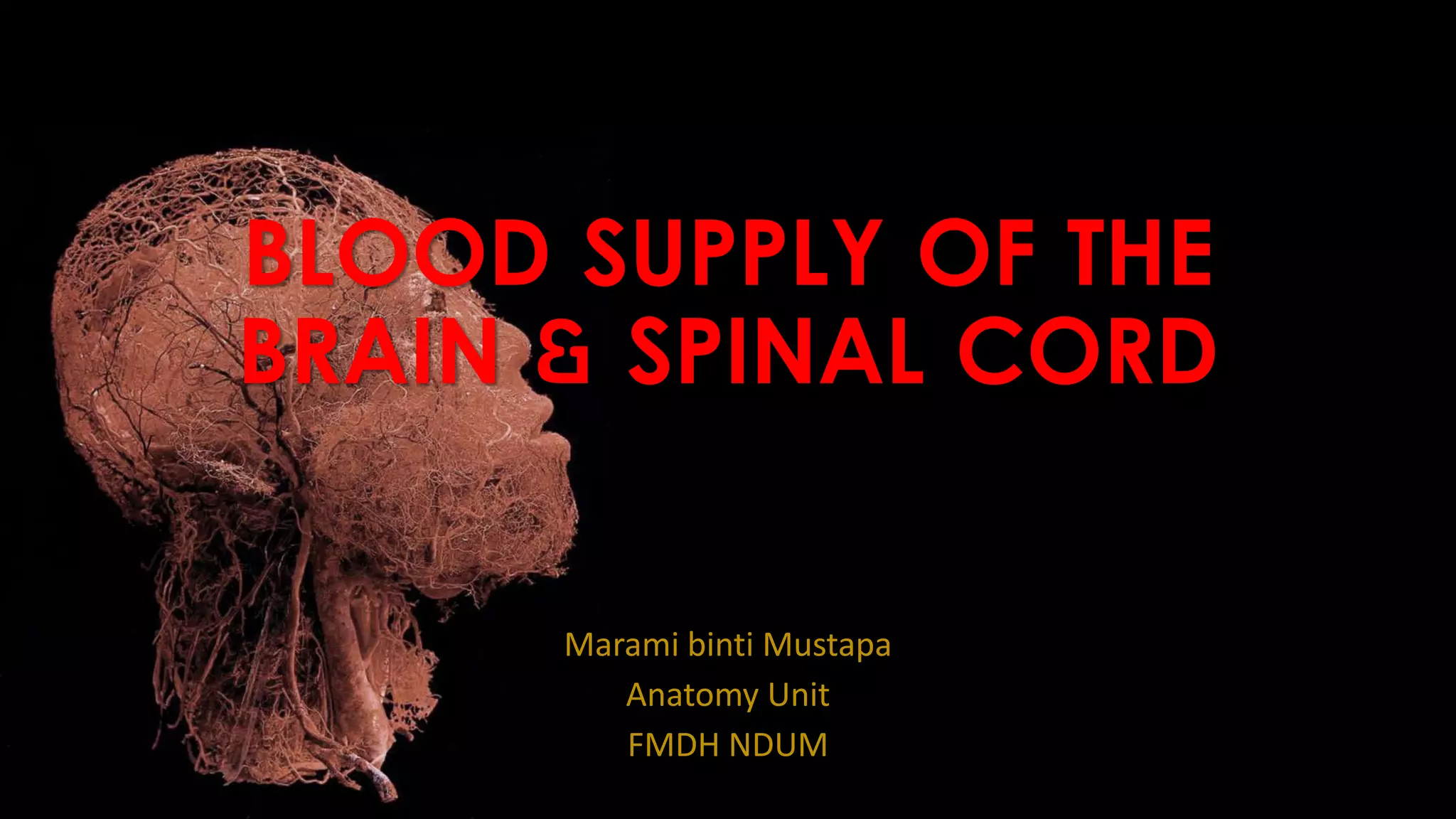 Blood supply of the brain & spinal cord cns- | PPTX