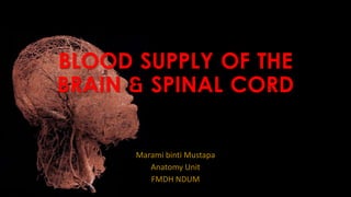BLOOD SUPPLY OF THE
BRAIN & SPINAL CORD
Marami binti Mustapa
Anatomy Unit
FMDH NDUM
 