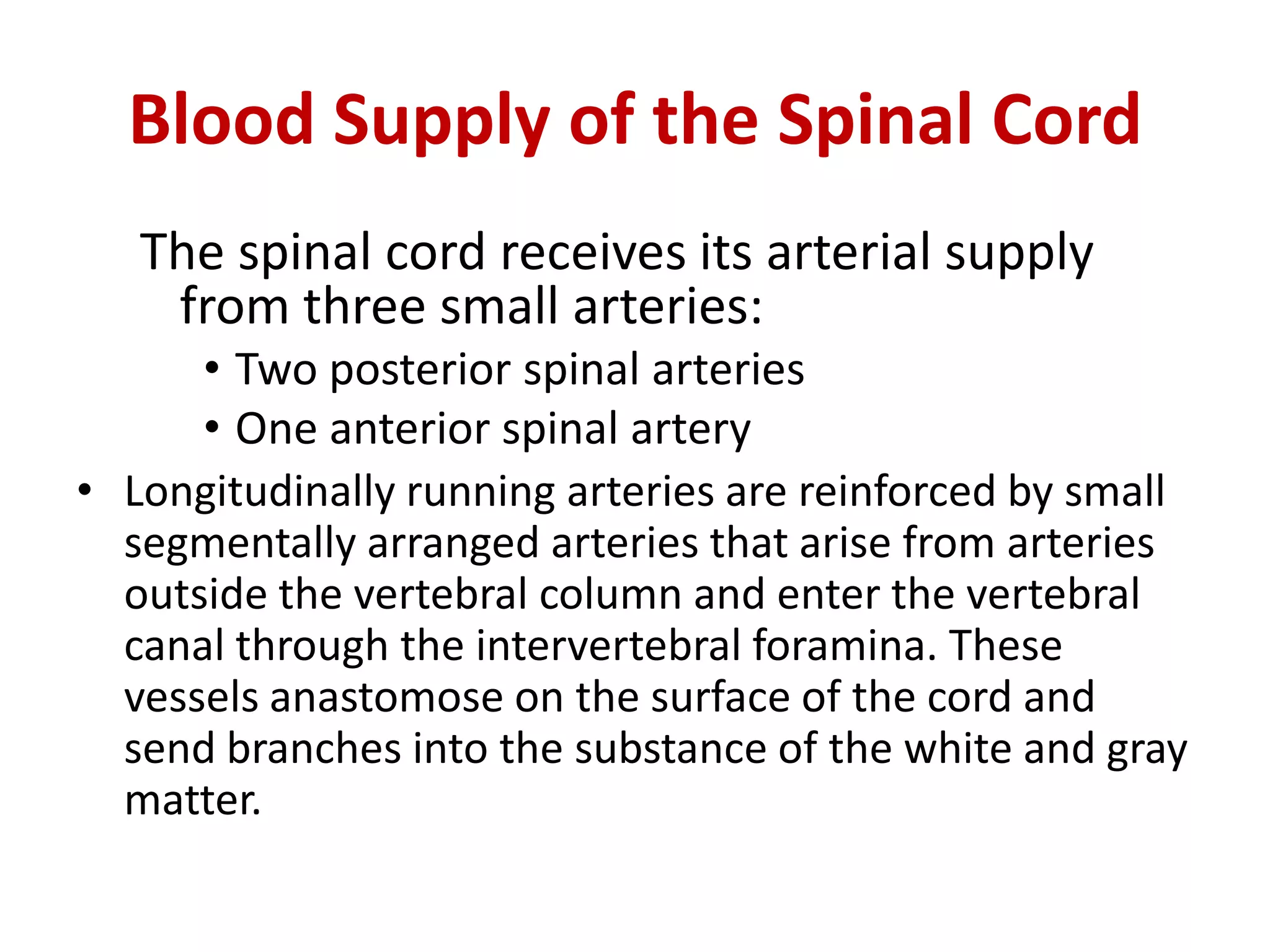 Blood supply of the brain & spinal cord by dr sarwar | PDF