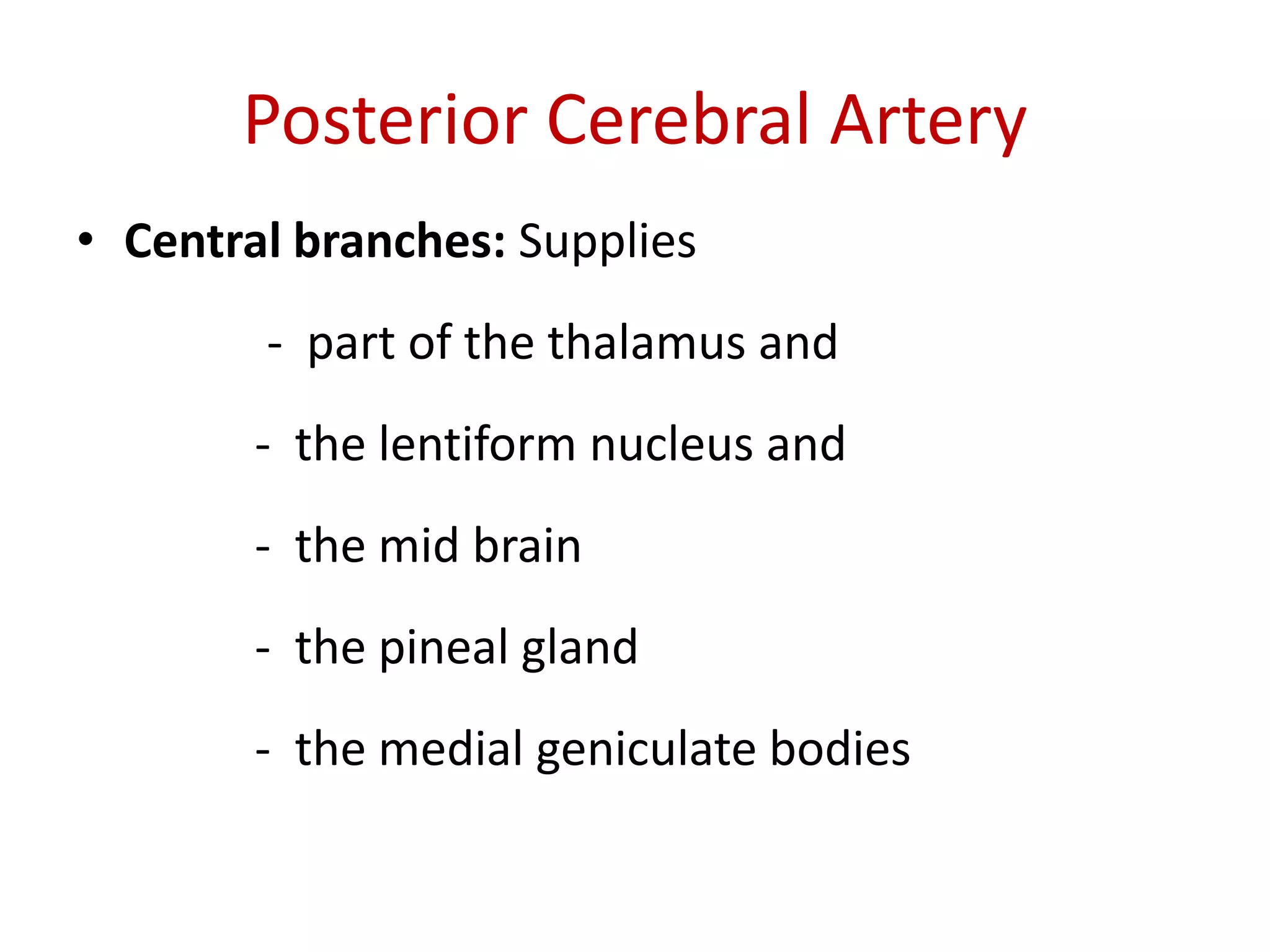 Blood supply of the brain & spinal cord by dr sarwar | PDF