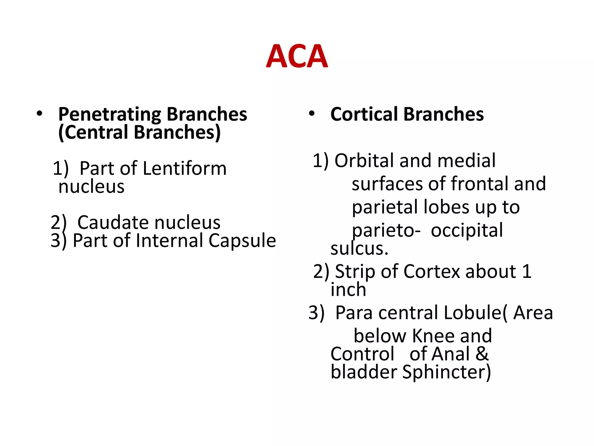 Blood supply of the brain & spinal cord by dr sarwar | PDF
