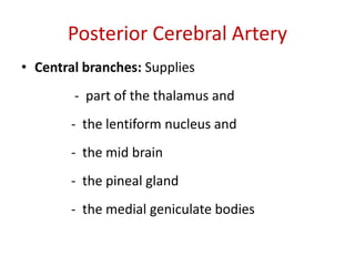Blood supply of the brain & spinal cord by dr sarwar | PDF