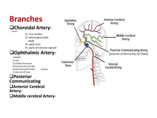 Blood supply of the brain & spinal cord by dr sarwar | PDF