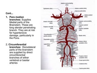 Blood supply of the brain & spinal cord by dr sarwar | PDF