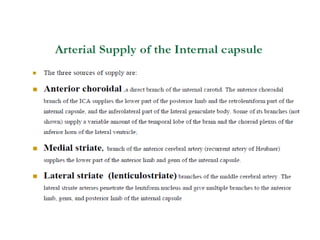 Blood supply of the brain & spinal cord by dr sarwar | PDF