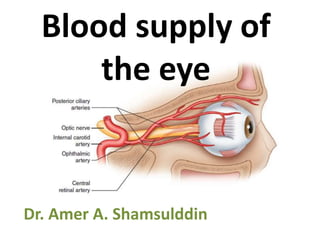 Blood supply of
the eye
Dr. Amer A. Shamsulddin
 