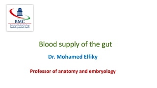Blood supply of the gut
Dr. Mohamed Elfiky
Professor of anatomy and embryology
 