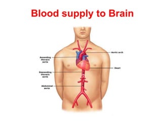 Blood supply to Brain
 