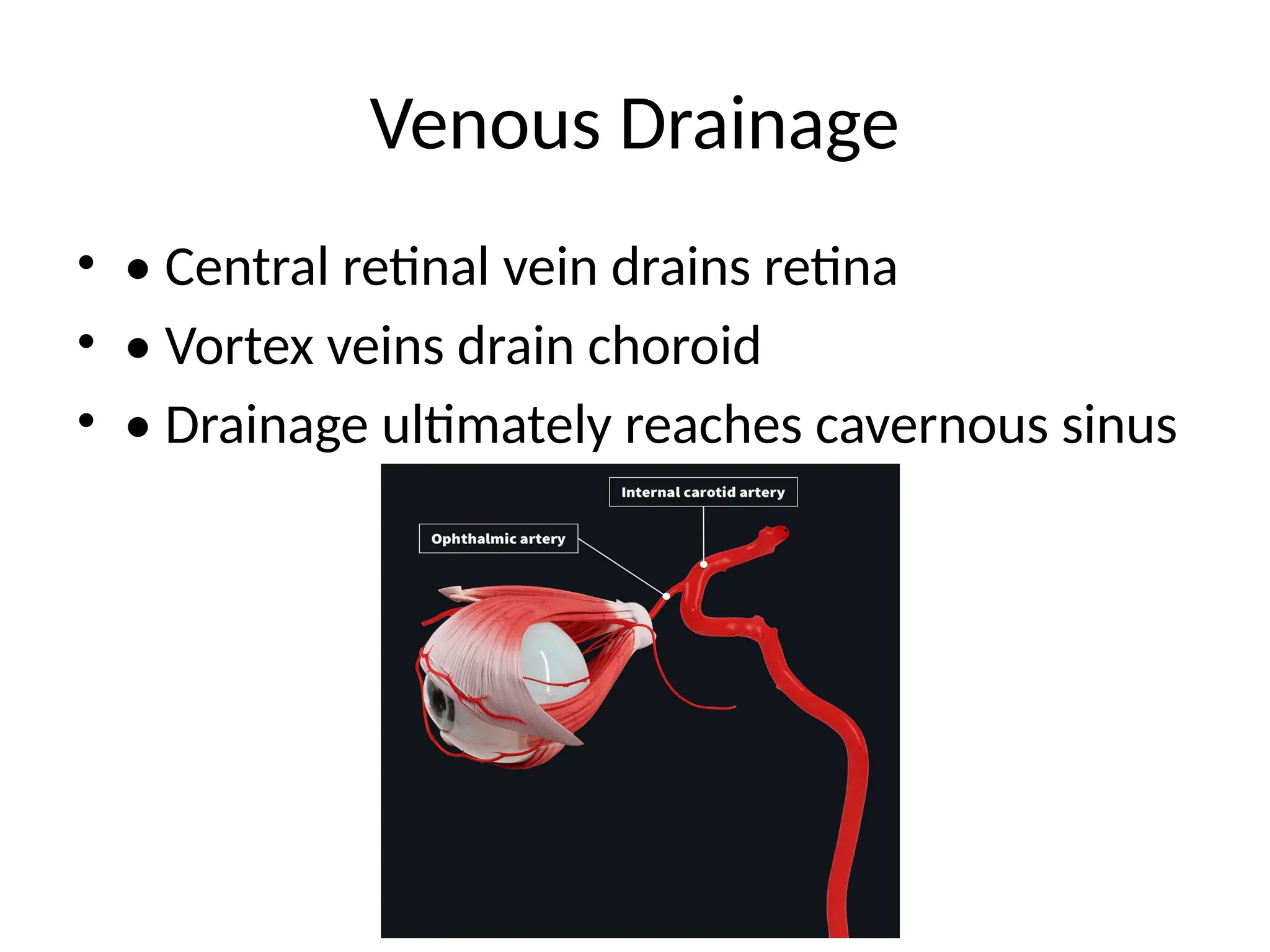 Venous Drainage
• • Central retinal vein drains retina
• • Vortex veins drain choroid
• • Drainage ultimately reaches cavernous sinus
 