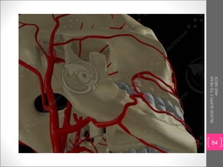 Blood supply to head and neck | PPT