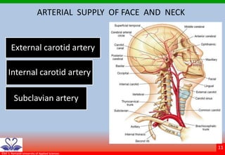 Blood supply to head and neck | PPTX
