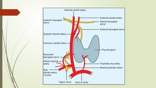 BLOOD SUPPLY TO HEAD AND NECK-seminar 1-1.pptx