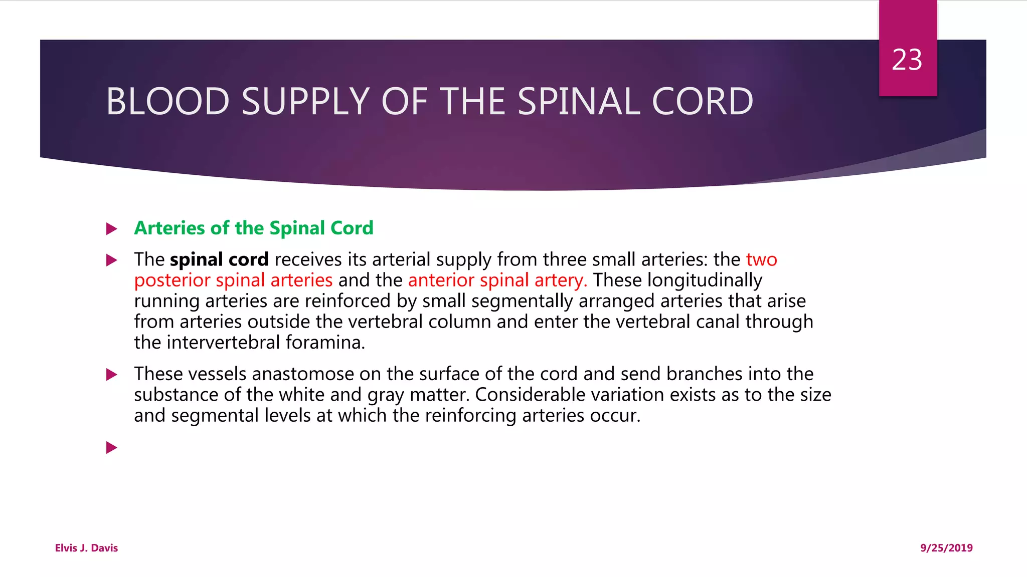 Blood supply to the cns | PPTX