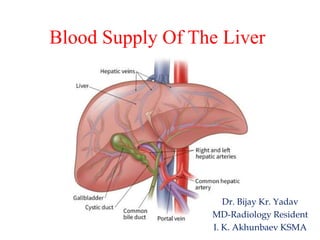 Blood Supply Of The Liver
Dr. Bijay Kr. Yadav
MD-Radiology Resident
I. K. Akhunbaev KSMA
 