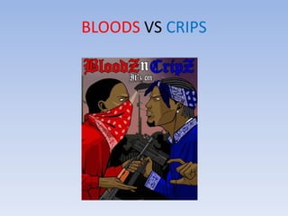 BLOODS VS CRIPS  