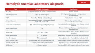 Comprehensive Overview of Blood System Disorders and Anemia Diagnosis ...