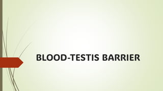 BLOOD-TESTIS BARRIER
 