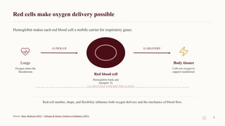 Red cells make oxygen delivery possible
Hemoglobin makes each red blood cell a mobile carrier for respiratory gases.
Lungs
Oxygen enters the
bloodstream
O2 PICK-UP
Red blood cell
Hemoglobin binds and
transport O2
O2 DELIVERY
Body tissues
Cells use oxygen to
support metabolism
CO2 RETURNS TOWARD THE LUNGS
Red-cell number, shape, and flexibility influence both oxygen delivery and the mechanics of blood flow.
Sources: Bain, Medicine (2021) · Gillespie & Doctor, Frontiers in Pediatrics (2021)
4
 