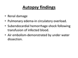 Autopsy findings
• Renal damage
• Pulmonary edema-in circulatory overload.
• Subendocardial hemorrhage-shock following
transfusion of infected blood.
• Air embolism-demonstrated by under water
dissection.
 