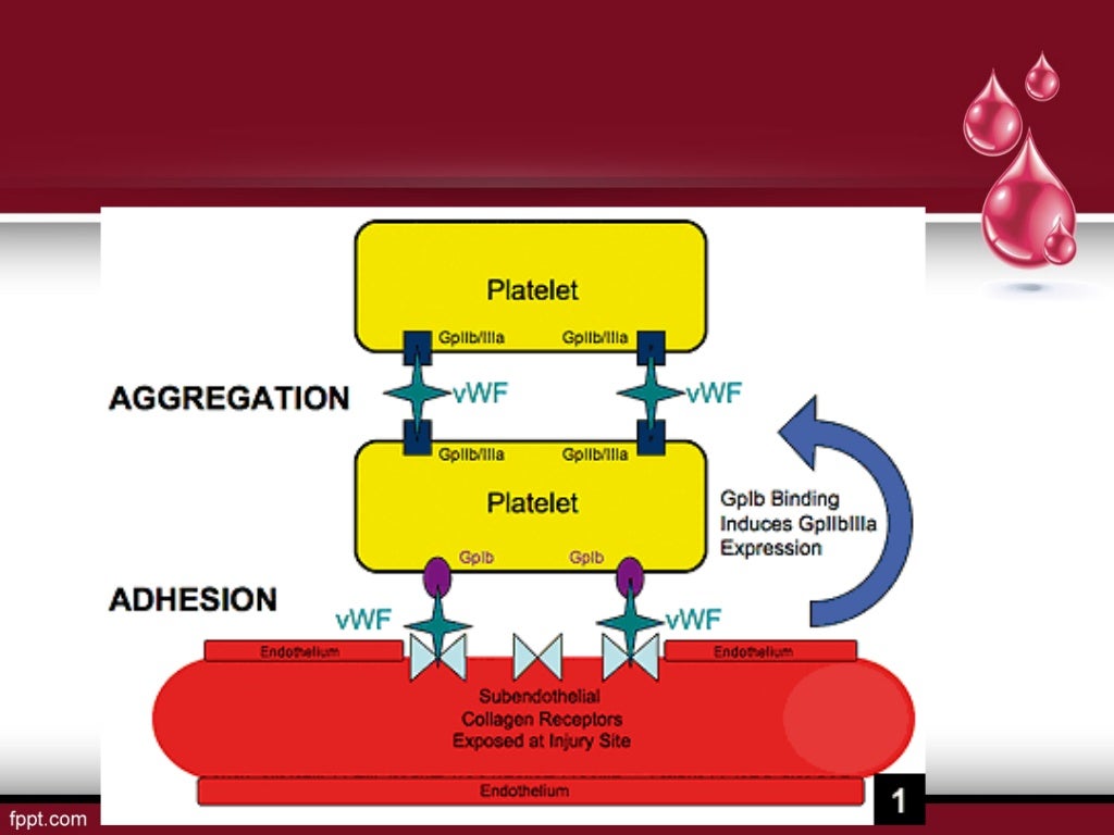 Blood transfusion & its component therapy