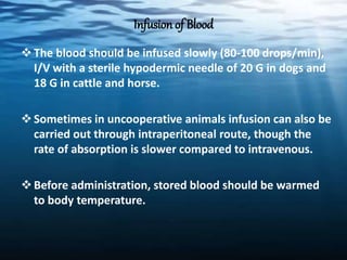 Infusion of Blood
The blood should be infused slowly (80-100 drops/min),
I/V with a sterile hypodermic needle of 20 G in dogs and
18 G in cattle and horse.
Sometimes in uncooperative animals infusion can also be
carried out through intraperitoneal route, though the
rate of absorption is slower compared to intravenous.
Before administration, stored blood should be warmed
to body temperature.
 