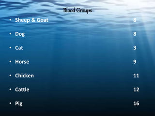 Blood Groups
• Sheep & Goat 8
• Dog 8
• Cat 3
• Horse 9
• Chicken 11
• Cattle 12
• Pig 16
 