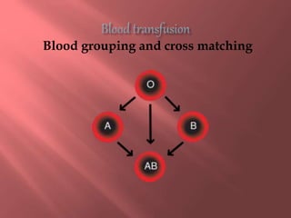 Blood grouping and cross matching
 