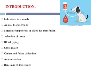INTRODUCTION:
 Indications in animals
 Animal blood groups
 different components of blood for transfusion
 selection of donar
 Blood typing
 Cross match
 Canine and feline collection
 Administration
 Reactions of transfusion
 