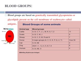 BLOOD GROUPS:
 Blood groups are based on genetically transmitted glycoproteins or
glycolipids present on the cell membrane of erythrocytes called
antigens.
 