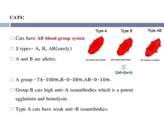 CATS:
 Cats have AB blood group system
 3 types- A, B, AB(rarely)
 A and B are alleles.
 A group -74-100%,B-0-26%,AB-0-10%.
 Group B cats high anti-A isoantibodies which is a potent
agglutinin and hemolysin
 Type A cats have weak anti-B isoantibodies.
 