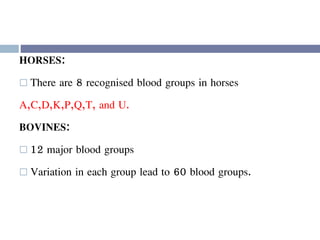 HORSES:
 There are 8 recognised blood groups in horses
A,C,D,K,P,Q,T, and U.
BOVINES:
 12 major blood groups
 Variation in each group lead to 60 blood groups.
 
