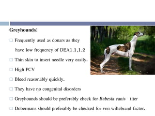 Greyhounds:
 Frequently used as donars as they
have low frequency of DEA1.1,1.2
 Thin skin to insert needle very easily.
 High PCV
 Bleed reasonably quickly.
 They have no congenital disorders
 Greyhounds should be preferably check for Babesia canis titer
 Dobermans should preferably be checked for von willebrand factor.
 