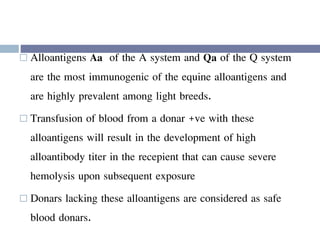  Alloantigens Aa of the A system and Qa of the Q system
are the most immunogenic of the equine alloantigens and
are highly prevalent among light breeds.
 Transfusion of blood from a donar +ve with these
alloantigens will result in the development of high
alloantibody titer in the recepient that can cause severe
hemolysis upon subsequent exposure
 Donars lacking these alloantigens are considered as safe
blood donars.
 