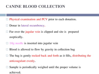 CANINE BLOOD COLLECTION
 Physical examination and PCV prior to each donation.
 Donar in lateral recumbency.
 Fur over the jugular vein is clipped and site is prepared
aseptically.
 16g needle is inserted into jugular vein
 Blood is allowed to flow by gravity in collection bag
 The bag is gently rocked back and forth as it fills, distributing the
anticoagulant evenly.
 Sample is periodically weighed until the proper volume is
achieved.
 
