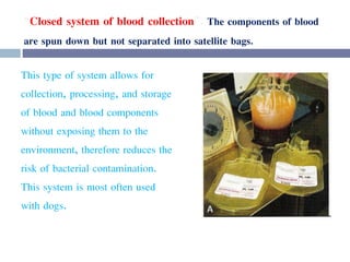 “Closed system of blood collection”. The components of blood
are spun down but not separated into satellite bags.
This type of system allows for
collection, processing, and storage
of blood and blood components
without exposing them to the
environment, therefore reduces the
risk of bacterial contamination.
This system is most often used
with dogs.
 