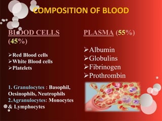 COMPOSITION OF BLOOD
BLOOD CELLS
(45%)
Red Blood cells
White Blood cells
Platelets
1. Granulocytes : Basophil,
Oesinophils, Neutrophils
2.Agranulocytes: Monocytes
& Lymphocytes
PLASMA (55%)
Albumin
Globulins
Fibrinogen
Prothrombin
 