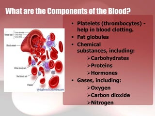 What are the Components of the Blood?
                    Platelets (thrombocytes) -
                     help in blood clotting.
                    Fat globules
                    Chemical
                     substances, including:
                         Carbohydrates
                         Proteins
                         Hormones
                    Gases, including:
                         Oxygen
                         Carbon dioxide
                         Nitrogen
 