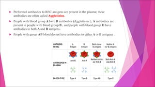 u Preformed antibodies to RBC antigens are present in the plasma; these
antibodies are often called Agglutinins.
u People with blood group A have B antibodies (Agglutinins ), A antibodies are
present in people with blood group B , and people with blood group O have
antibodies to both A and B antigens .
u People with group AB blood do not have antibodies to either A or B antigens .
 