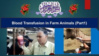 Blood Transfusion in Farm Animals (Part1)
 
