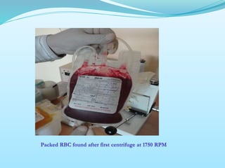 seminar on Blood transfusion | PPTX