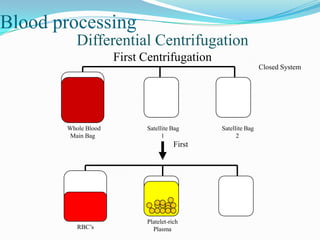 Blood processing
Differential Centrifugation
First Centrifugation
Whole Blood
Main Bag
Satellite Bag
1
Satellite Bag
2
RBC’s
Platelet-rich
Plasma
First
Closed System
 