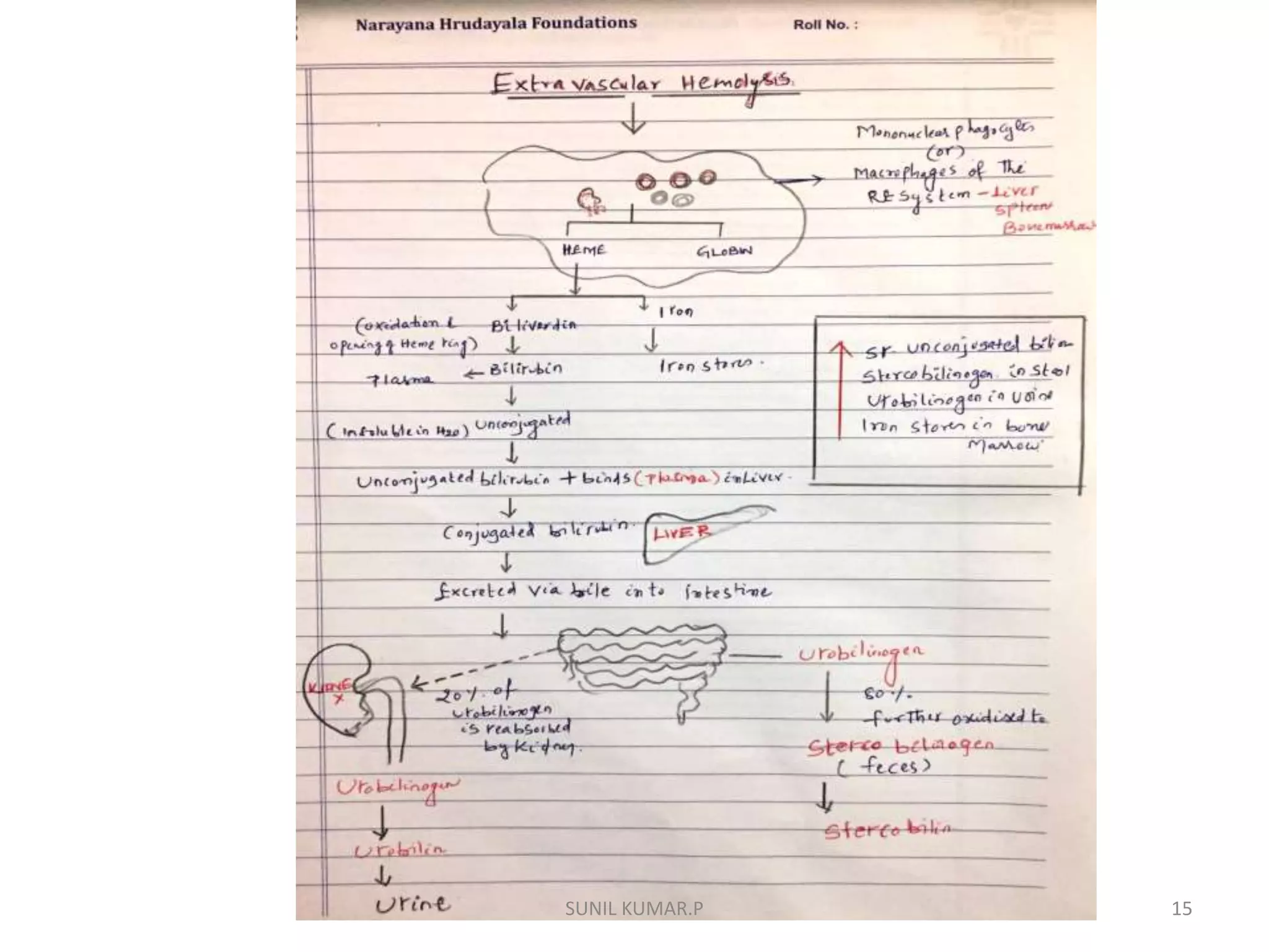 Blood transfusion reactions PPTX