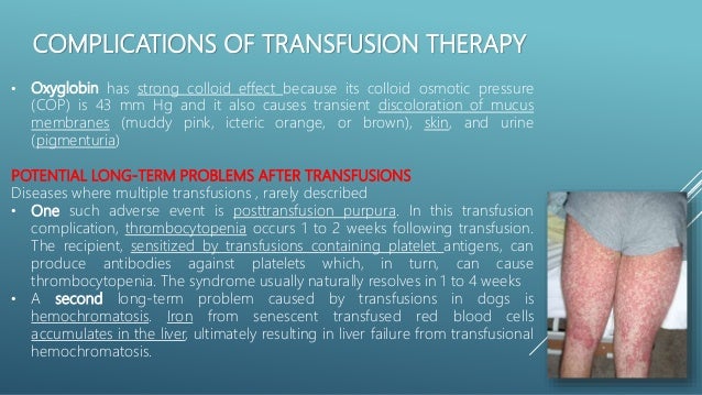 How To Increase Red Blood Cells In Dogs Naturally How To Increase Red Blood Cells In Dogs Naturally